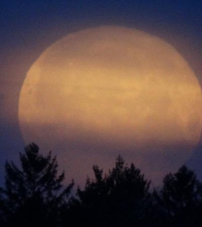 Q&A:  Can I Have Success Duck Hunting During a Full Moon Phase?