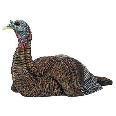 Avian-X Laydown Hen Decoy Review