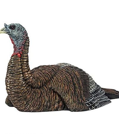 Avian-X Laydown Hen Decoy Review