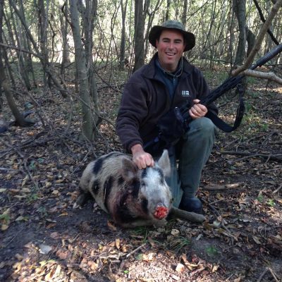 Hog Wild When It is Not Duck Season
