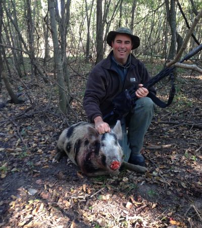 Hog Wild When It is Not Duck Season