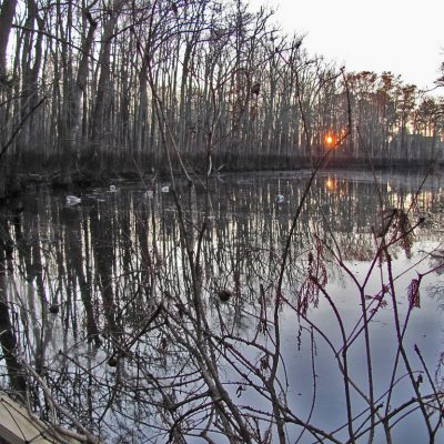 Flexibility is a Huge Key in Duck Hunting