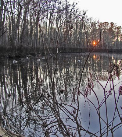 Flexibility is a Huge Key in Duck Hunting