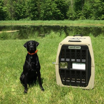 A Dog Kennel That Will Last a Lifetime