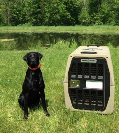 A Dog Kennel That Will Last a Lifetime