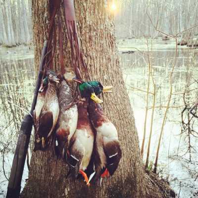 12-14-16 Duck and Goose Migration Report