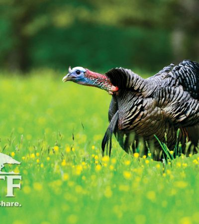 4 Corner Properties: On The X Podcast: “Turkey Eve With Jamie Puckett of MS Turkey Hunters”