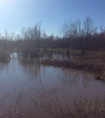 Once In A Lifetime 160 Acre Duck Hunting Property For Sale In Sharkey County