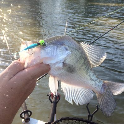Southern Fishing Report 4-7-17