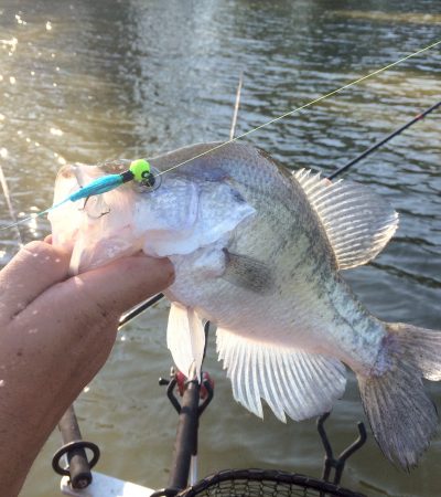 Southern Fishing Report 4-7-17