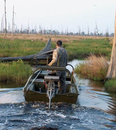 Great Duck Hunting Story