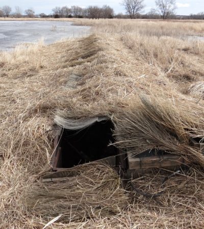 How Do I Conceal a Pit Blind When Duck and Goose Hunting?