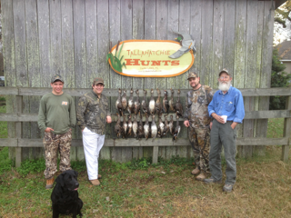 ducksouth2.png