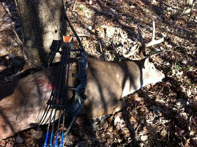 6 pt with bow.JPG