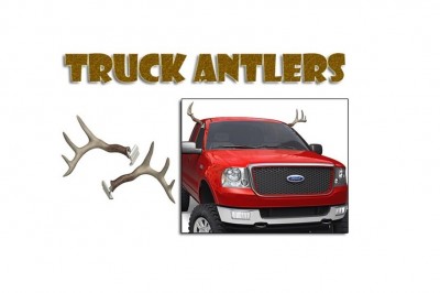 antlers.jpg