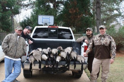 Christmas Eve Geese_2011_Madison County.jpg