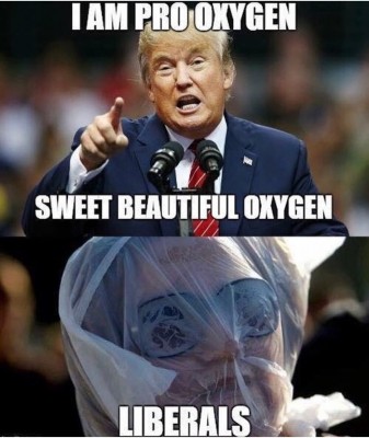 52938D9B-2A1A-4831-9398-293228D42044.jpeg