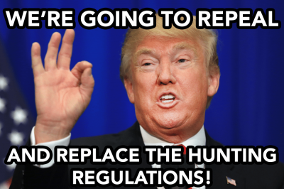 hunting-regulations.png