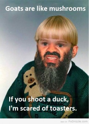 Funny-Nonsense-Meme-Goats-Are-Like-Mushrooms-If-You-Shoot-A-Duck-I-Am-Scared-Of-Toasters-Picture.jpg