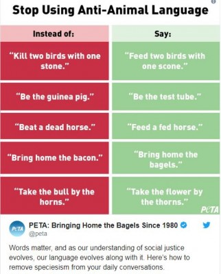 PETA_phrase replacements.JPG