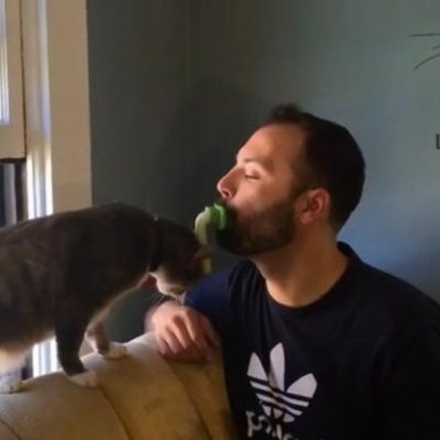 Ducksouth Video of The Day